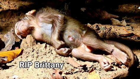 Last Life Poor Baby Brittany Good Bye Forever Mom Brinn Crying Loudly