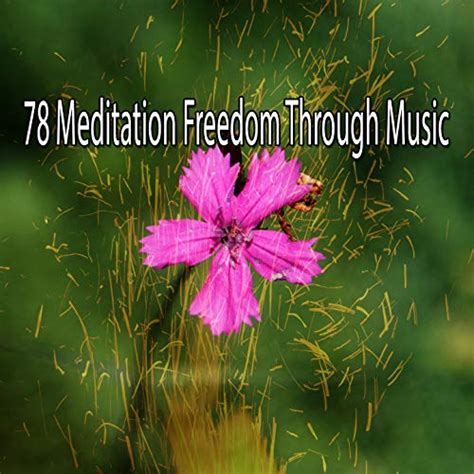 Amazon Music Asian Zen Spa Music Meditation Meditation Freedom