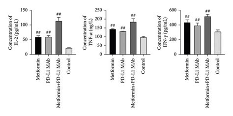 The xenograft tumor tissue cells’ proliferation, immune and ...