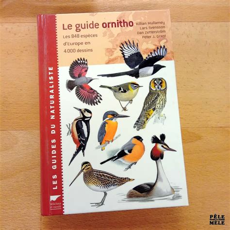 Le Guide Ornitho Les Esp Ces D Europe En Dessins Les