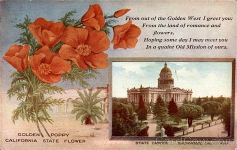 California State Flower and Capitol Sacramento, CA State Flowers & Seals