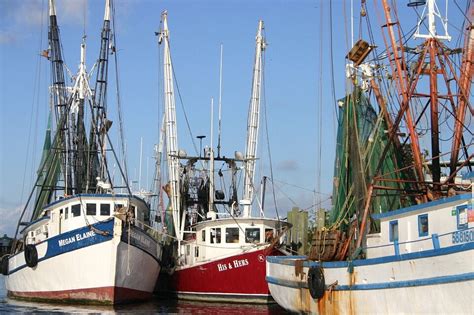 Shrimp Boats Everything You Need To Know