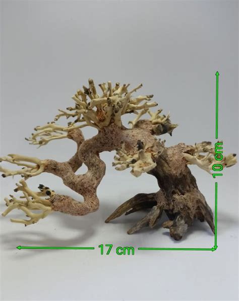 Bonsai Aquascape Aquarium Driffwood Lazada