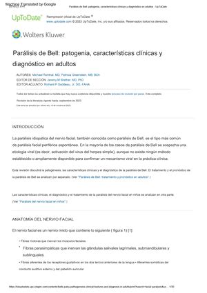 ME129 Semana 5 Sistema Tegumentario Protecci N Arco Ref V2 Copia