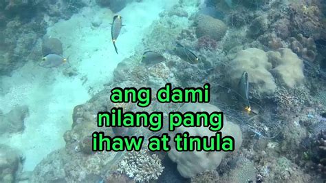 Masarap Kumain Sa Tabing Dagat Kasama Ang Mga Kaibigan Mahiligsadagat