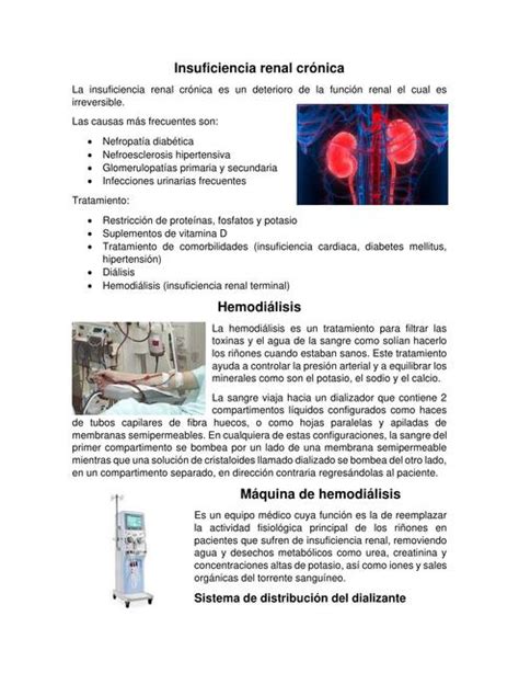 Insuficiencia Renal Crónica Apuntes De Enfermería Udocz