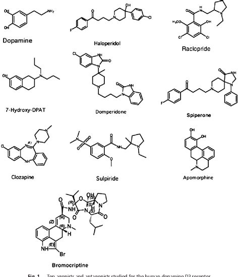 Figure From The Predicted D Structure Of The Human D Dopamine