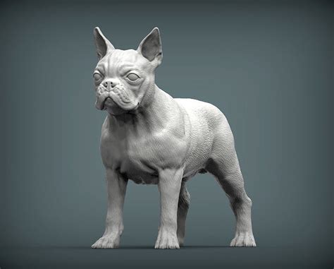 Boston Terrier 3d Model 3d Printable Cgtrader