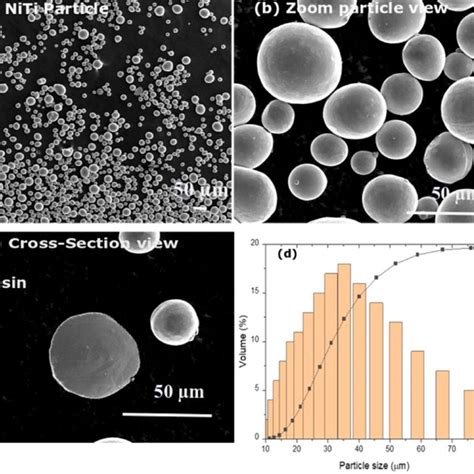 Surface Features Of The Gas Atomized Niti Powder A Sem Image Of The Download Scientific