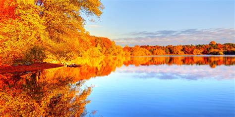 12 Best Places For Fall Foliage In Boston Travel And Blossom