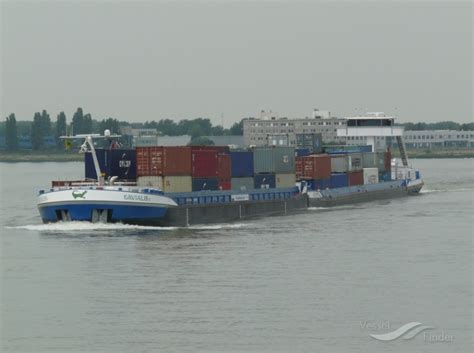 GAVIALIS, Other type - Details and current position - ENI 02325059 ...