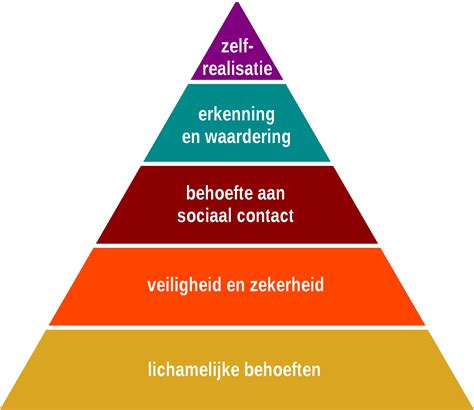 Wat Zijn De Voordelen Van Regelmatige Relatie Educatie En Hoe Kan Je Er