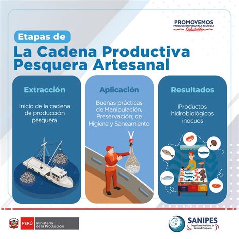 Sanipes ¿sabes Cuáles Son Las Etapas De La Cadena