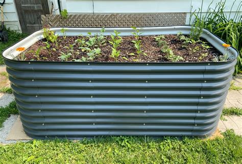Vego Garden Review: Elevate Your Garden Beds