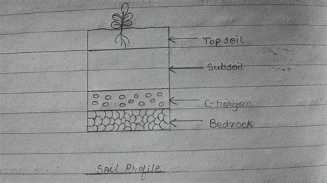 Labeled Diagram Of Soil Profile