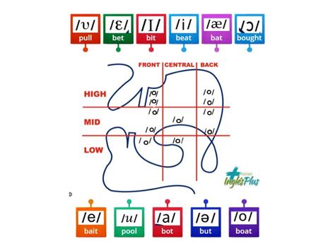 Mouth Chart Vowel Sound - Labelled diagram