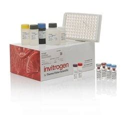 Invitrogen Mouse Ifn Gamma R Elisa Kit X Tests Fisher Scientific