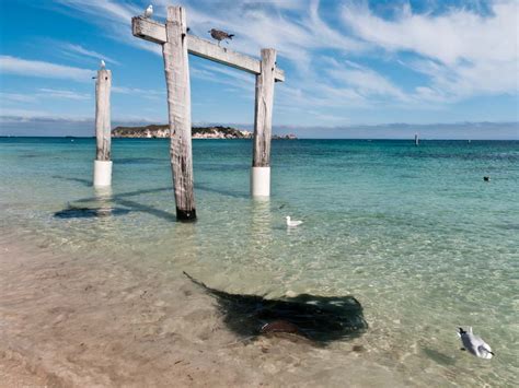 Hamelin Bay Holiday Park - Margaret River Find the Fun