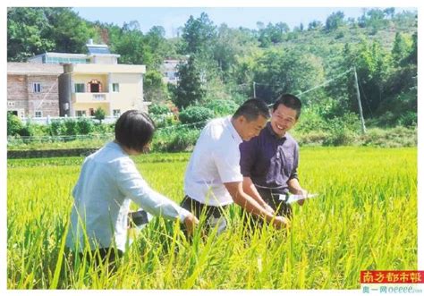 为民办事践初心 广州农行学史力行掠影 南方都市报奥一网