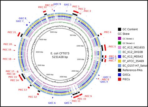 Circular Genome Comparison Showing Pais Predicted For E Coli Cft073 Download Scientific