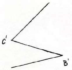 shape   flap  transposition  scientific diagram