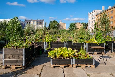 Urban Gardening Co Mehr Als Kurzzeitige Trends