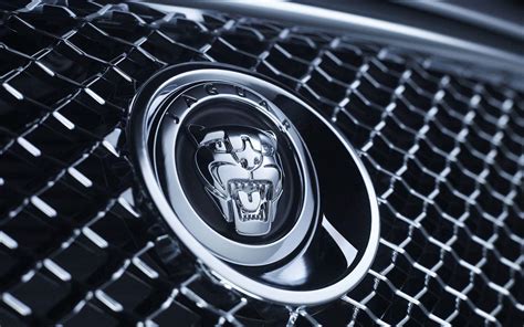 Jaguar Car Logo Wallpapers Top Free Jaguar Car Logo Backgrounds