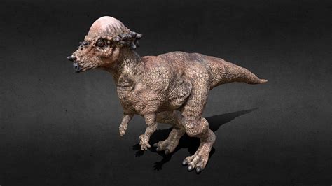 Pachycephalosaurus Download Free 3d Model By Seirogan [e26e52b] Sketchfab