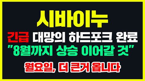 긴급 대망의 하드포크 완료 시바이누 8월까지 상승 이어갈 것 월요일 더 큰거 옵니다 시바이누 시바이누전망 시바이누코인