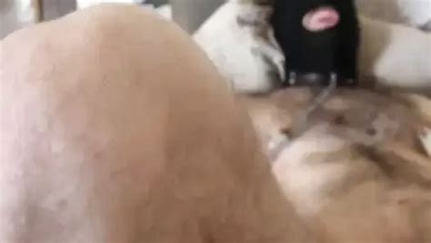 V Deos Gay De Fisting Griego Gratis Xhamster