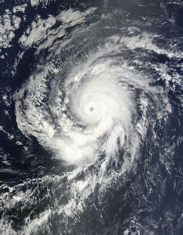 Hurricane Erina | Hypothetical Severe Weather Wiki | Fandom