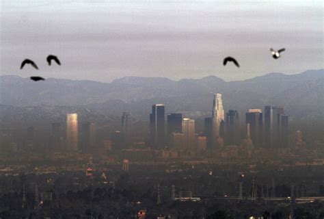 Air Quality in California & Steps to Help Reduce Air Pollution | School ...