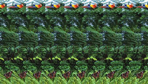 What Hides This Stereogram Brain Teasers