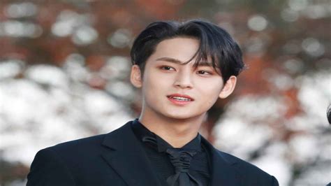 Mingyu Bio Wiki Age Birthday Height Weight Net Worth