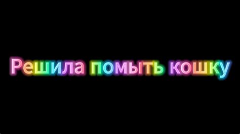 Как правильно мыть кошку)) - YouTube