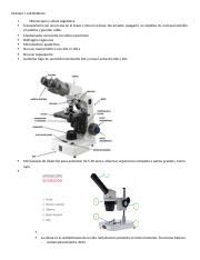 Examen Lab Nica Docx Examen Lab Nica I Microscopio Y