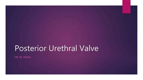 Posterior Urethral Valve Ppt