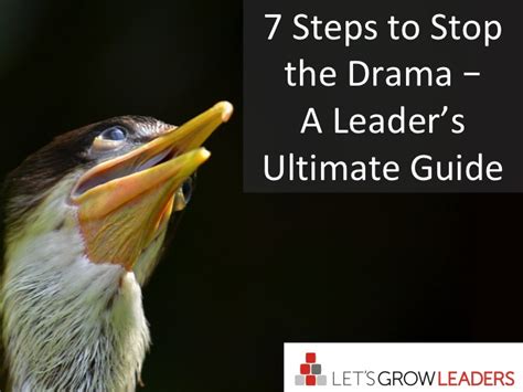 7 Steps to Stop the Drama - a Leader's Ultimate Guide