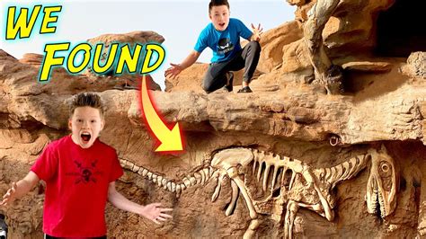 We Found Dinosaur Fossils In Our Backyard Youtube