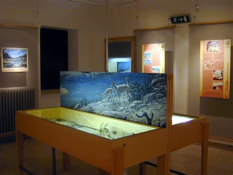 Centro Di Documentazione Paleontologico Scontrone AQ Ilborghista It