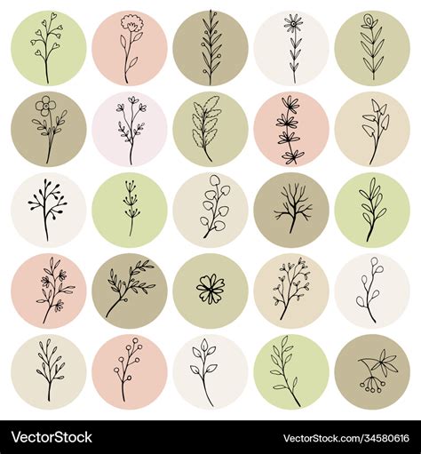 Botanical Icons For Social Media Royalty Free Vector Image