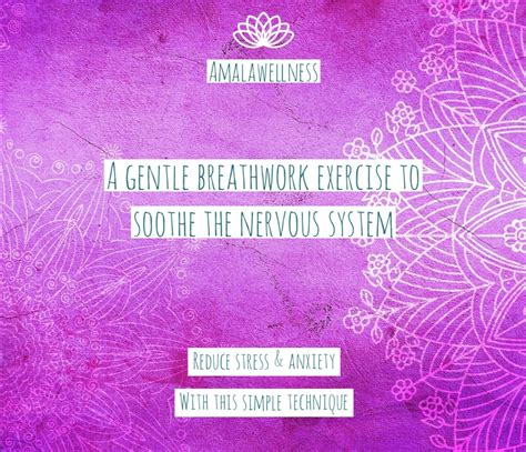 AMALAwellness Gentle Breathwork Techniques Calm The Nervous System