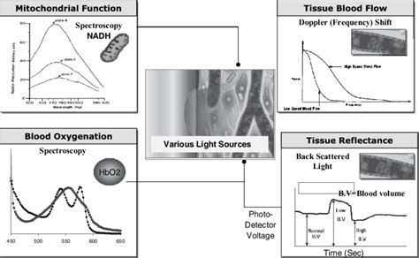 Principles Of Tissue Spectroscopy In Order To Evaluate Tissue Viability