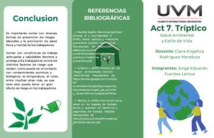 Actividad Resumen Salud Ambiental Y Estilo De Vida Actividad