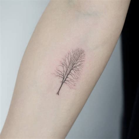 Fig Tree Tattoo