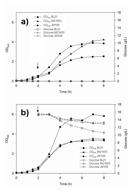 Growth Parameters Of E Coli In Shake Flasks Growth Of E Coli In