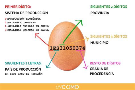 Cómo LEER el CÓDIGO de los HUEVOS Lo que debes saber