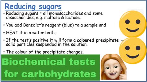 Biochemical Tests For Carbohydrates Youtube