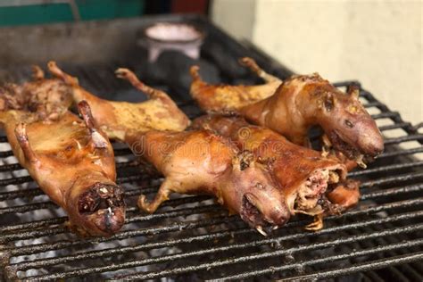 Roasted Guinea Pig In Banos, Ecuador Stock Image - Image: 43688597