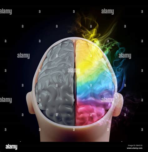 Brain hemispheres, artwork Stock Photo - Alamy